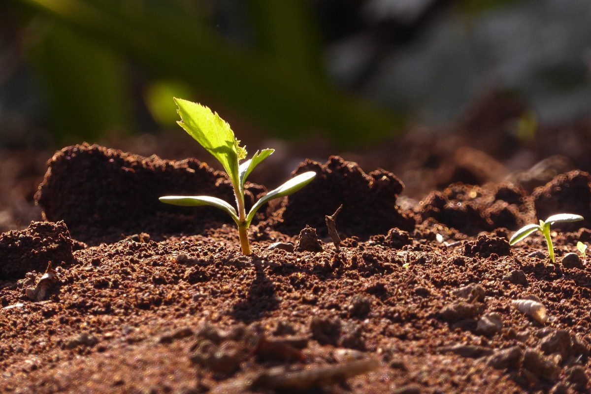 Entrepreneurs : les mythes&nbsp;d’aujourd’hui